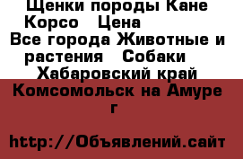 Щенки породы Кане-Корсо › Цена ­ 25 000 - Все города Животные и растения » Собаки   . Хабаровский край,Комсомольск-на-Амуре г.